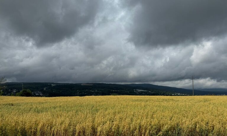 Fühlst du dich schwer und gefangen? Hier sind 3 mögliche Gründe und was du tun kannst