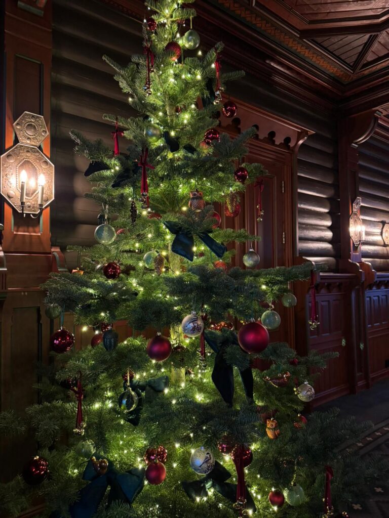 Die Adventszeit und die Wintersonnenwende: Eine Einladung zur inneren Einkehr